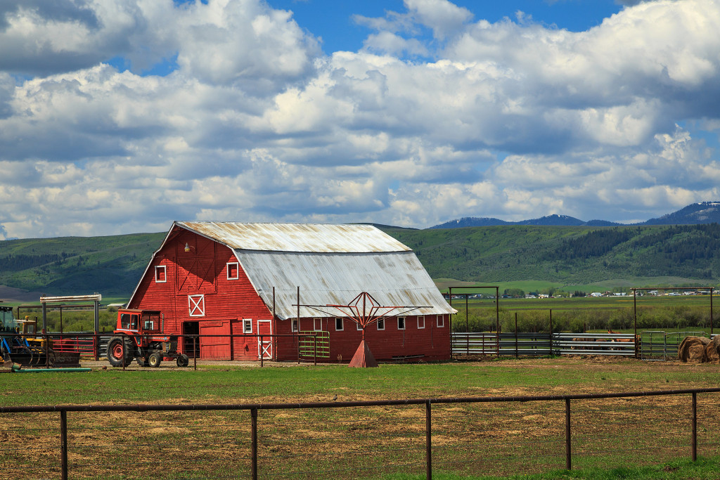 farm