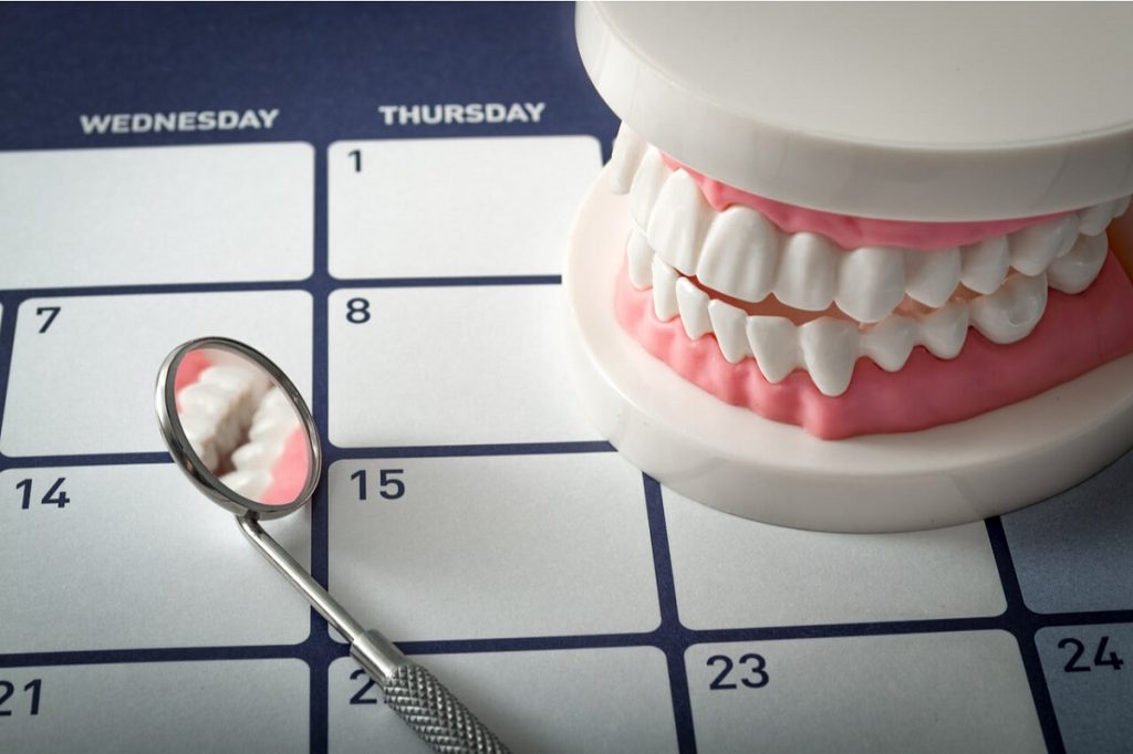 teeth model with a calendar under it