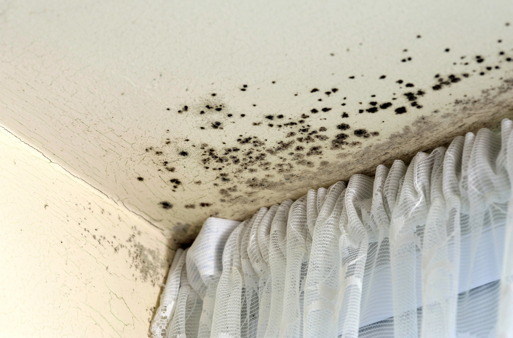 mold in the ceiling
