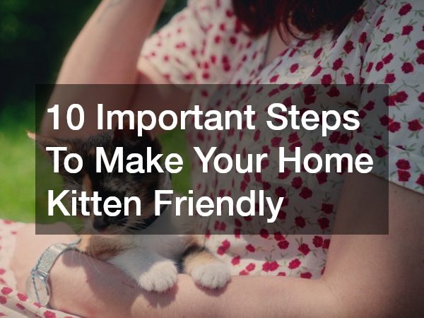 10 Important Steps To Make Your Home Kitten Friendly
